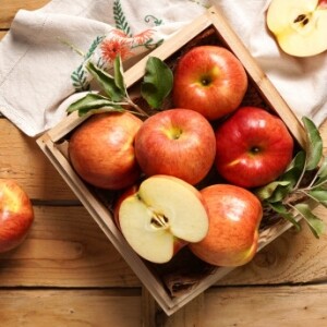 명천농장-홍천군 인삼, 사과 직거래 ,(못난이 상품)  천혜 홍천 햇사과(부사)2kg, 5kg, 10kg